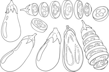 Hand drawn line eggplants. Vector illustration isolated on white background. Farm, fresh, ecological vegetables artwork. Coloring pages with eggplant