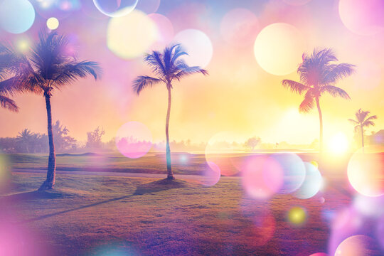 Abstract background of tropical palm tree with colorful bokeh sun light on sunset or sunrise.Summer vacation and nature travel adventure concept. Vintage tone filter effect color style.