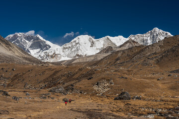 Himalaya mountains landscape and meadow, Way to Amphulapcha base camp, Everest region in Nepal