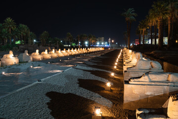 Iluminated Luxor temple at night in Luxor city upper Egypt