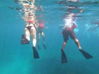 Rear view of people snorkeling in Costa Rica