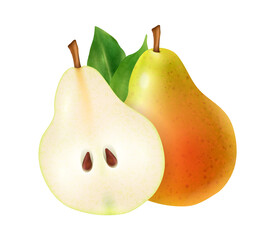 Realistic Pear Fruit Composition