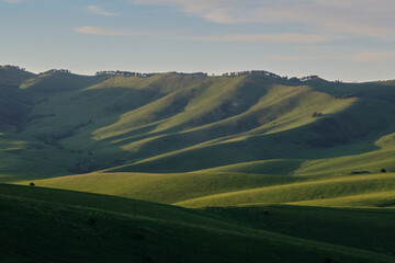 Green hills of Altai, mountain pastures.