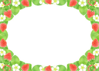 イチゴ水彩画素材、飾り枠、背景素材／Strawberry watercolor material, decorative frame, background material