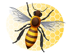 Honey bee on a yellow background. Striped insect illustration isolated on white background. Sticker, print, logo