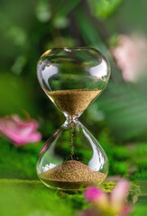 hourglass. flowers, leaves. concept of time, the onset of spring summer season
