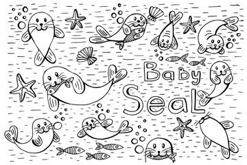 little baby seal is swiming in the sea with fish stars and bubbles , black and white doodle handrawn picture