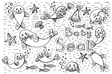little baby seal is swiming in the sea with fish stars and bubbles , black and white doodle handrawn picture