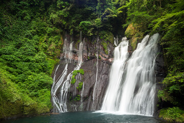 Fototapeta na wymiar 緑に囲まれた白水の滝