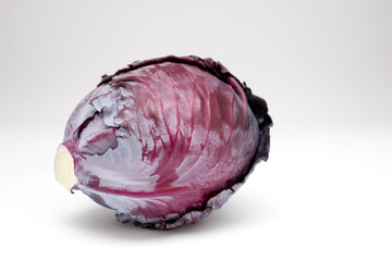Head of whole purple cabbage on white background