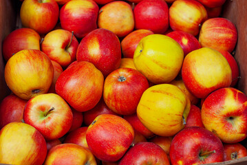Lots of red and yellow apples in a box. Texture of round apples close up. Sale of fruit at the market and supermarket.
