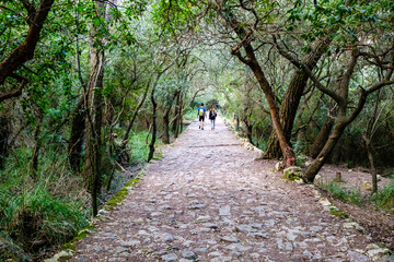 Camí des Correu stone path, royal road with medieval roots dating from 1401, Banyalbufar,...