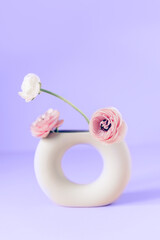 Tender ranunculus flowers in ceramic vase