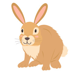hare, rabbit cartoon decorative flat design, isolated