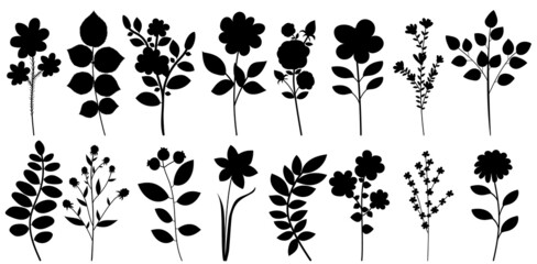 plants, flowers set silhouette on white background