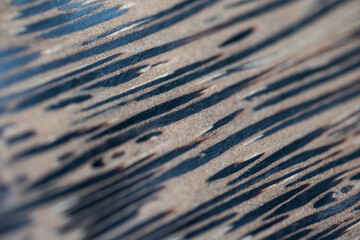 Abstract wood bakground and texture.