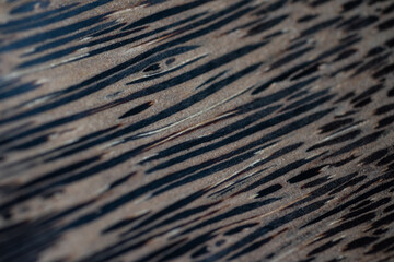 Abstract wood bakground and texture.