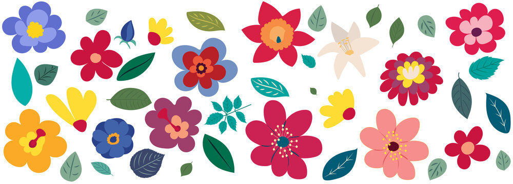 flowers, flat design set, isolated vector