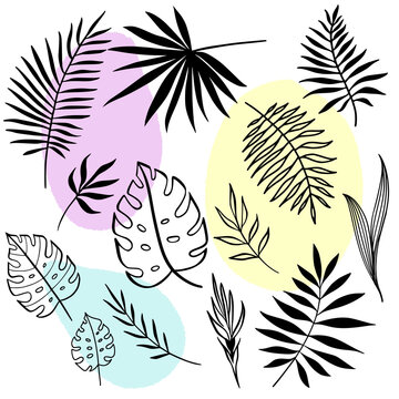 Set of tropical leaves. Vector line art elements. Abstract organic shapes background.