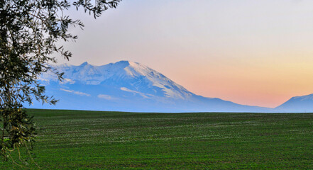Obraz premium Panorama della Maiella al tramonto, campagna con allo sfondo le le montagne 