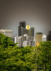 Fototapeta premium The growth of the city among trees space in nature against with dark background. City growth concept, Selective focus.