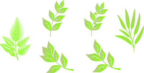 printable watercolour floral branches with leaves vector