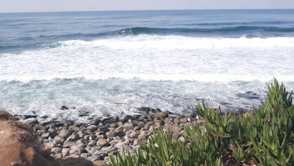 Ocean waves crashing on beach, sea water surface from above, cliff or bluff, La Jolla shore, California USA. Succulent green ice plant, pacific coast. Seascape natural background, pebble rock or stone