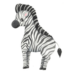 Watercolor cute cartoon tropical zebra animal