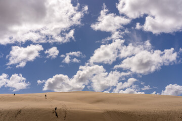 Walking on Te Paki Giant Sand dunes