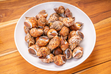 Fresh areola babylon or spotted babylonon wooden background, Fresh areola babylon or spotted babylonon ready to cook.