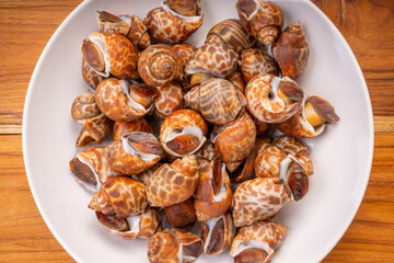 Fresh areola babylon or spotted babylonon wooden background, Fresh areola babylon or spotted babylonon ready to cook.