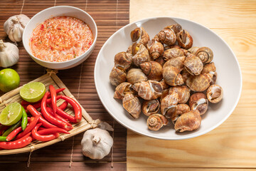Seafood dish, steamed  areola babylon or spotted babylon , served with Thai spicy and sour seafood...