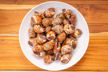 Fresh areola babylon or spotted babylonon wooden background, Fresh areola babylon or spotted babylonon ready to cook.