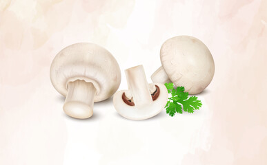 Fresh champignon mushrooms vegetable isolated on white background