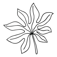 Tropical palm leave in sketch style, isolated vector illustration. Leave of palm tree in linear doodle style. Botanical minimalist print of exotic leave, sketch design.