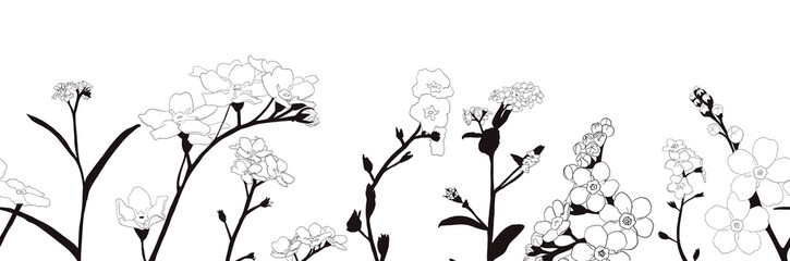 Hand-drawn wildflowers border.Botanical border. Good for cosmetics, medicine, treating, aromatherapy, nursing, package design, field bouquet.