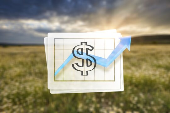 Land value in aerial view consist of landscape of green field or agriculture farm, growth graph