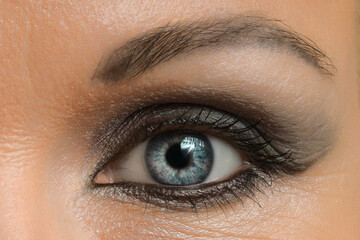 Obraz premium close-up of a human eye with makeup