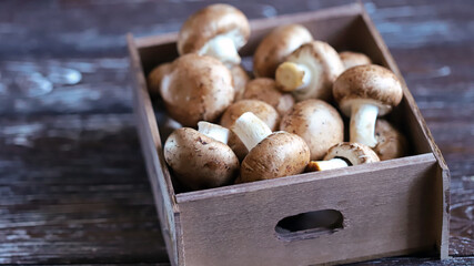 Fototapeta premium Royal champignons in a wooden box. Selective focus. Macro.