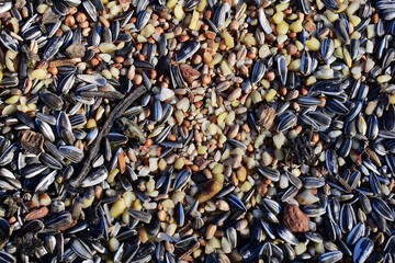 Vogelfutter mit Hirse, Sonnenblumenkernen, Erdnuss