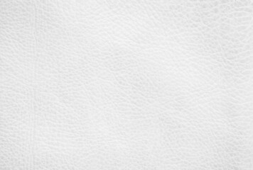 White genuine leather texture background. Empty luxury classic textures for decoration. Vintage skin natural suede.