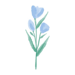 Hand drawn illustration of a blue wild flower. Crocus painted in watercolor. Vector illustration.