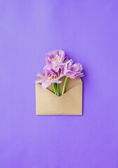 gift box with flowers on balnk violet background