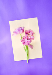 Card with natural flowers on violet background