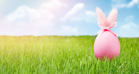 A pink egg with rabbit ears in green grass on background a blue sky with clouds. Creative Easter concept on a sunny spring day. Easter decoration, banner, panorama, background