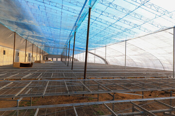 The greenhouse under construction is in a plantation in North China
