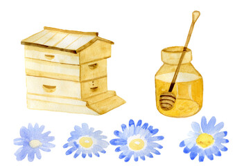 Production of honey on sands insulated elements house honey bee can of chamomile watercolor by hand