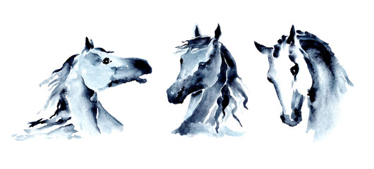 Horse head set. Watercolor or ink hand painting horse snout collection. Beautiful hand drawing Japanese style stallion. Equestrian silhouette illustration on white. Equine art by artistic brush stroke © larisa_zorina