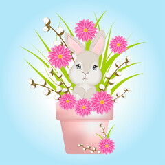 A bunny in a pot. Easter bunny. Easter.