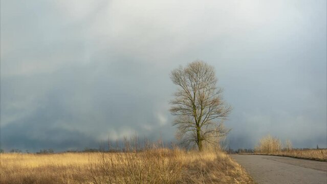 Dramatic stormy cloudscape over winter, fall or spring landscape. Dark stormy thunder grey scary clouds moving over bare trees, yellow cols fields and empty rural road. Snowy or rainy weather concept